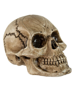 Antiker Morbid Relic Totenkopf 17cm