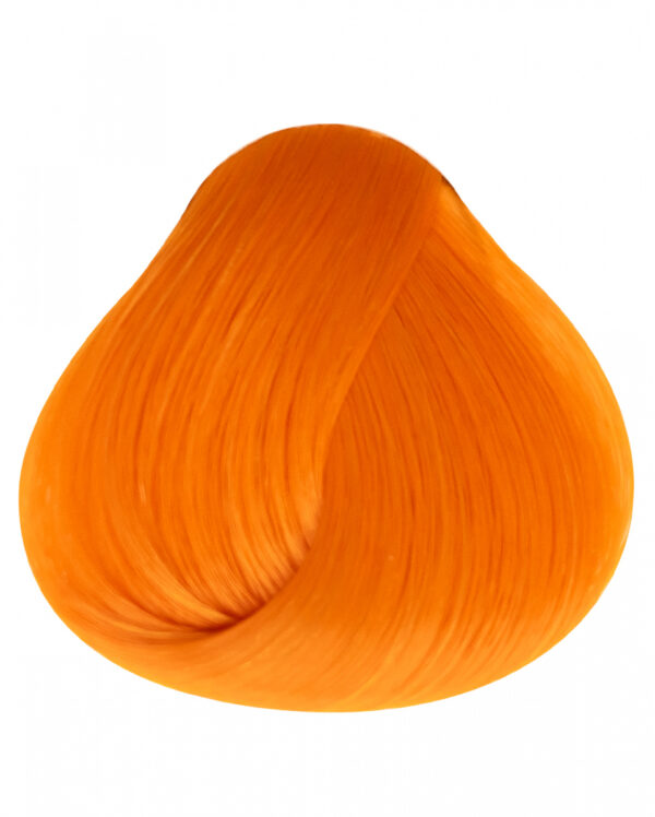 Apricot Directions