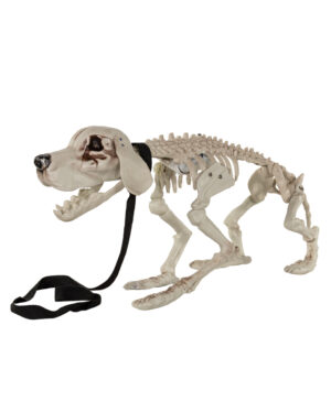 Bellender Skelett Hund mit leuchtenden Augen 70cm