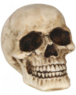 Deko Totenkopf 8cm