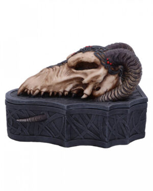 Dragon Skull Totenkopf Box 17