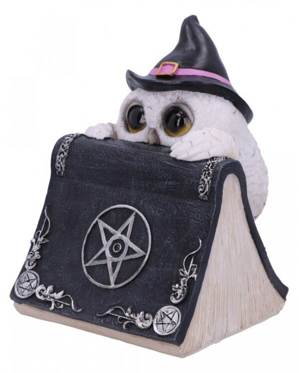 Eule mit Pentagramm Zauberbuch 15cm
