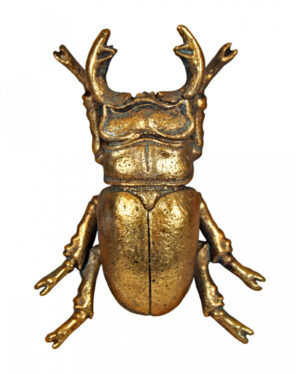 Goldfarbener Hirschkäfer Wandkunst 14