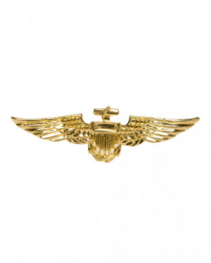 Goldglänzendes Piloten Abzeichen