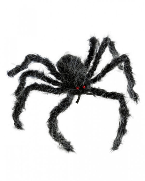Grau-Schwarz Melierte Haarige Spinne