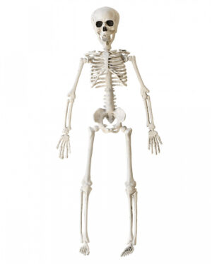 Halloween Skelett 40 cm