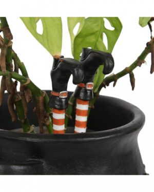Hexenbeine als Pflanzentopf Stecker 10cm