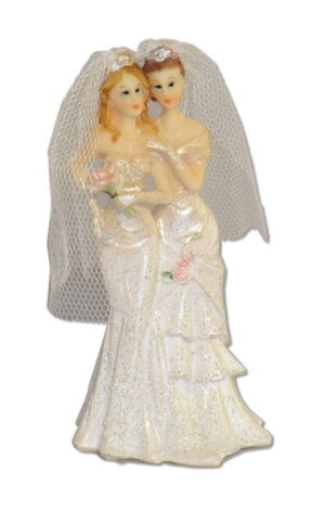 Lesbisches Hochzeitspaar 11