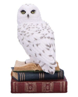 Library of Wisdom Eule Dekofigur 17cm