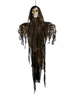 Modriger Fetzenreaper mit Bewegung