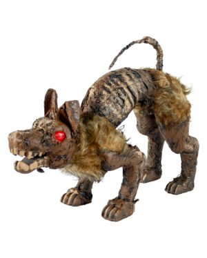 Mumifizierter Hundekadaver aus dem Moor 51cm