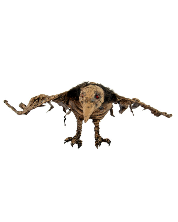 Mumifizierter Raben Kadaver aus dem Moor 55cm
