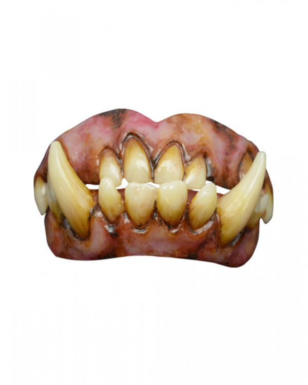 Oger FX Zähne mit Thermo Plast