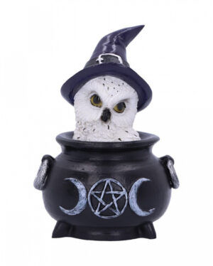 Owl's Brew Hexeneule Figur 10cm