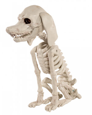 Pudel Hundeskelett als Halloween Deko 25cm