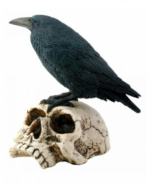 Rabe auf Totenkopf Schädel