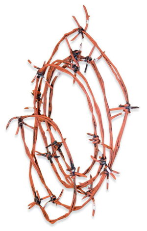 Rostiger Stacheldraht 3