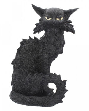 Salem Hexenkatze 32