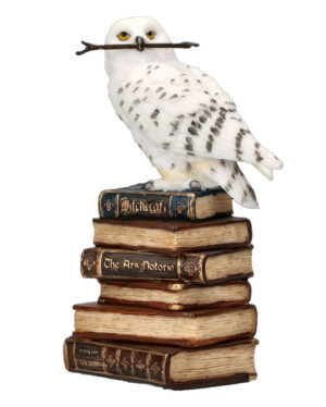 Schneeeule auf Zauberbücher sitzend 14cm