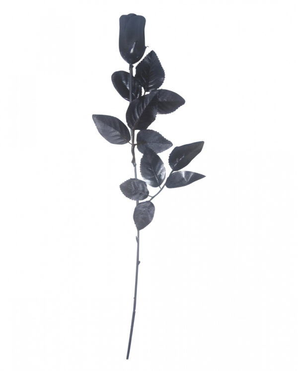 Schwarze Gothic Rose