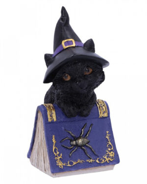 Schwarze Hexenkatze mit Zauberbuch 12