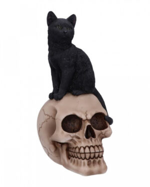 Schwarze Katze auf Totenkopf 24