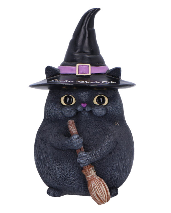 Schwarze Katze mit Hexenhut