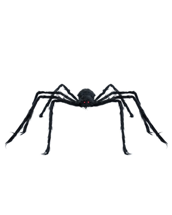 Schwarze Riesenspinne 127cm