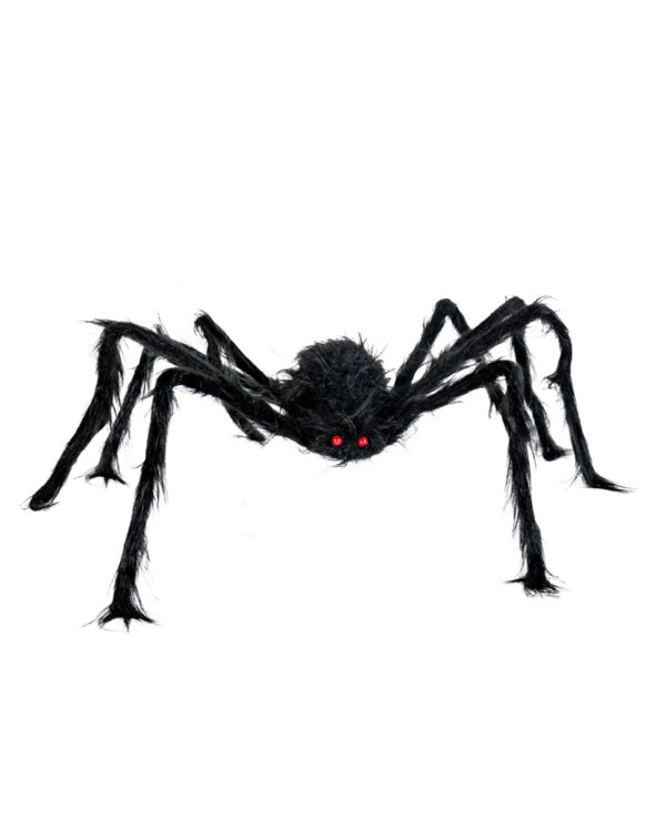 Schwarze Riesenspinne 90cm