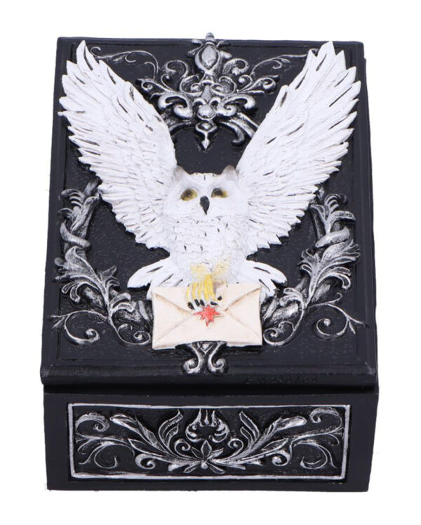 Schwarze Schatulle mit geheimnisvoller Eule 18cm