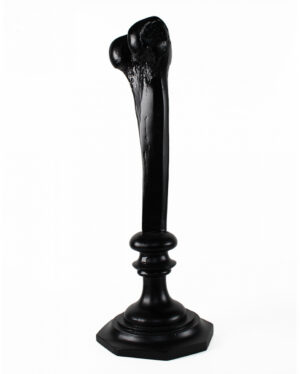 Schwarzer Gelenkknochen Kerzenhalter 34cm