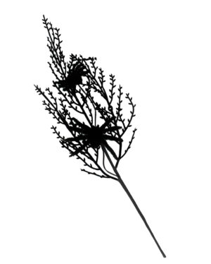 Schwarzer Gothic Deko Zweig mit 2 Spinnen 36cm