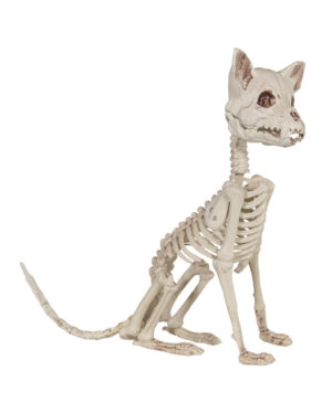 Skelett Katze als Halloween Deko 48cm