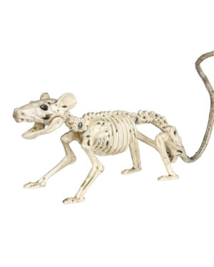Skelett Ratte 20cm