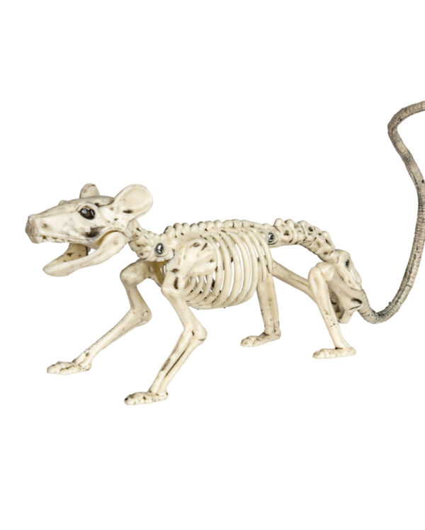 Skelett Ratte 20cm