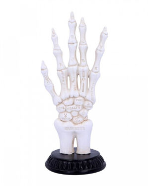 Skeletthand mit Wahrsage Symbolen