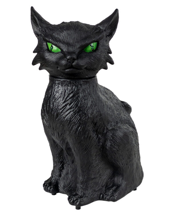 Verhexte Schwarze Katze mit Bewegung