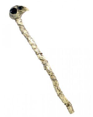 Voodoo Zeremonienstab mit Krähenkopf