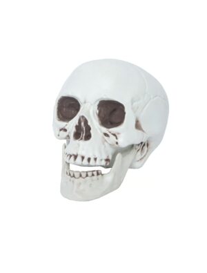 Deko Schädel Totenkopf Farbe: weiß
