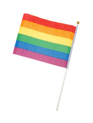Fähnchen Regenbogen am Stab Farbe:
