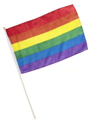Flagge Regenbogen am Stab 45x30cm Farbe: mehrfarbig