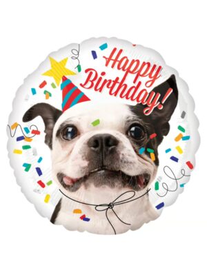 Folienballon Hund Happy Birthday S Farbe: bunt
