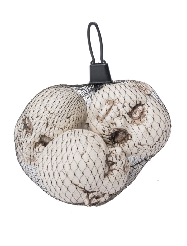 Köpfe 4 Stk. Farbe: weiß