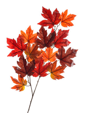 Kostümzubehör Ahorn-Zweig 87cm Farbe: weinrot