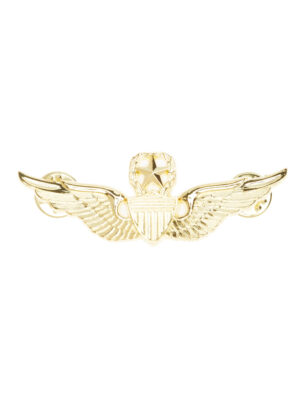 Kostümzubehör Brosche Flieger gold
