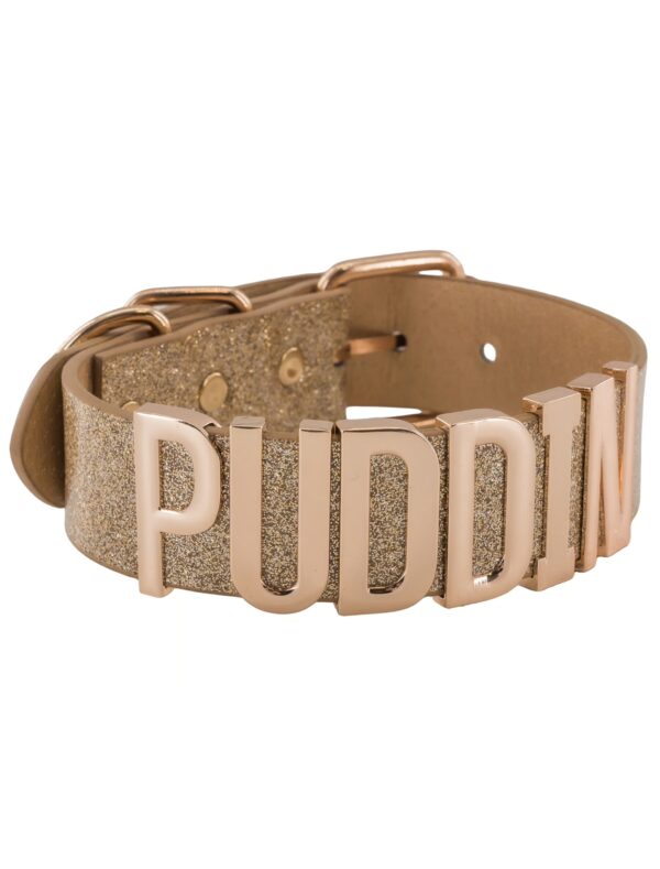 Kostümzubehör Choker Puddin mit Schnalle Damen gold