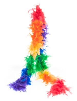 Kostümzubehör Federboa 60g 180cm rainbow