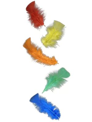 Kostümzubehör Federn 100er-Pack bunt Farbe: bunt