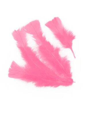 Kostümzubehör Federn 100er-Pack pink