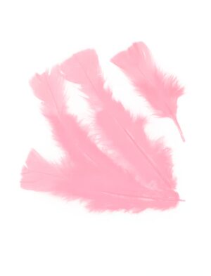 Kostümzubehör Federn 100er-Pack rosa